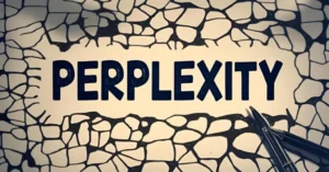 Perplexity